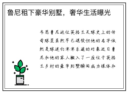 鲁尼租下豪华别墅，奢华生活曝光